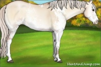 Horse Color:Silver Grullo Pearl Onyx Sabino Rabicano