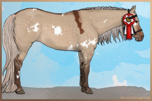 Horse Color:White Spotted Silver Brown Dun 