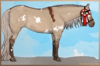Horse Color:White Spotted Silver Brown Dun 