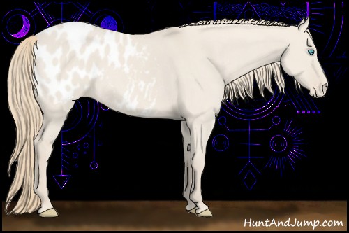 Horse Color:Smoky Creme Dun Appaloosa 