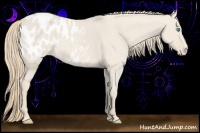Horse Color:Smoky Creme Dun Blanket