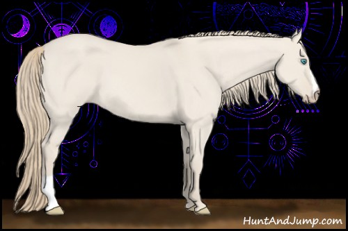 Horse Color:Smoky Creme Dun 