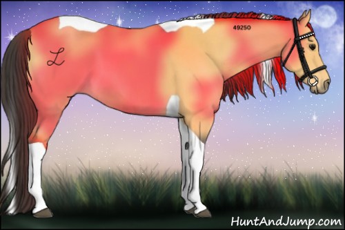 Horse Color:Buckskin Tobiano