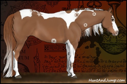 Horse Color:Chestnut Splash Tobiano 