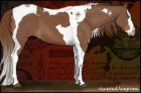 Horse Color:Chestnut Splash Tobiano 