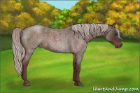 Horse Color:Chocolate Silver Brown Roan 