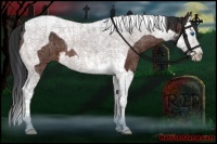 Horse Color:Brown Splash Tobiano 
