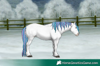 Horse Color:Painted White Spotted Silver Brown Ice Dun Varnish Rabicano 