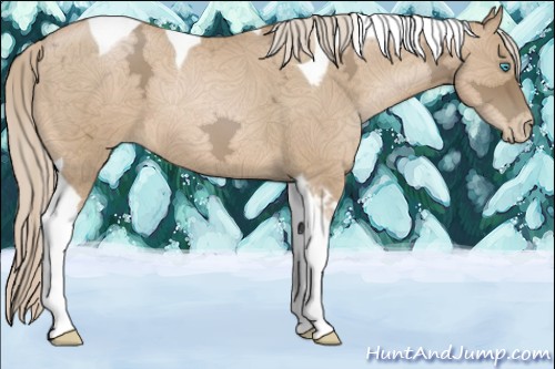 Horse Color:Chocolate Palomino Ice Pearl Tobiano 