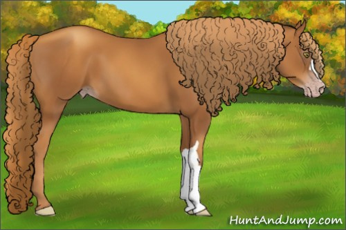 Horse Color:Gray Gold Champagne 