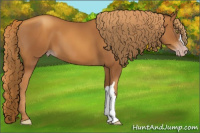 Horse Color:Gray Gold Champagne 