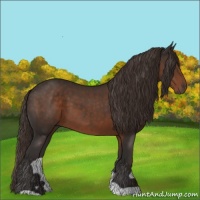 Horse Color:Liver Chestnut 