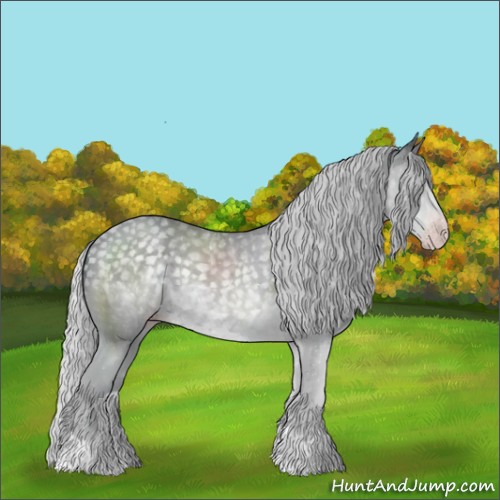 Horse Color:Silver Classic Champagne Chinchilla 