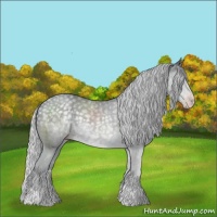 Horse Color:Silver Classic Champagne Chinchilla 