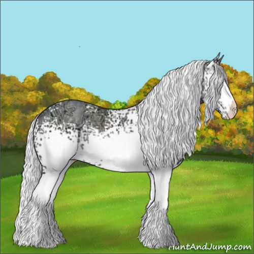 Horse Color:White Spotted Silver Classic Champagne Chinchilla Ice Appaloosa