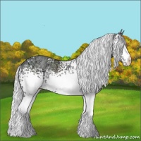 Horse Color:White Spotted Silver Classic Champagne Chinchilla Ice Appaloosa