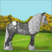 Horse Color:Silver Classic Champagne Chinchilla Ice Appaloosa