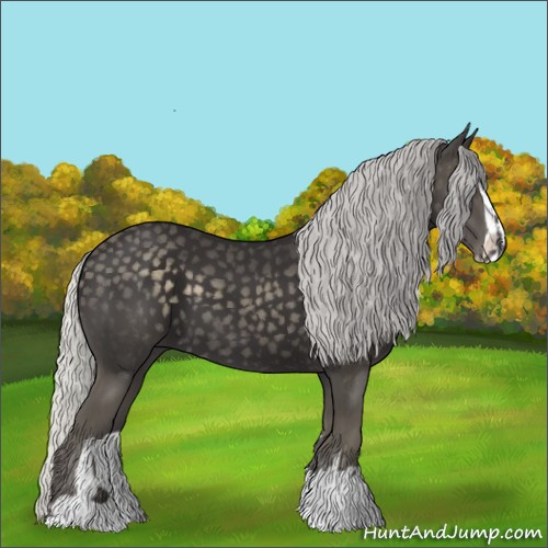 Horse Color:Silver Smoky Black Chinchilla Sabino 