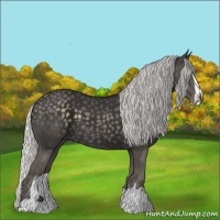 Horse Color:Silver Smoky Black Chinchilla Sabino