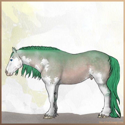 Horse Color:Watercolor Buckskin Sabino Splash 