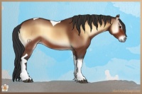 Horse Color:Bay Onyx Tobiano 