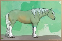 Horse Color:Watercolor Silver Bay Tobiano 