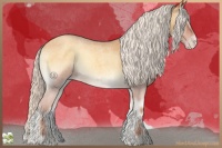 Horse Color:Silver Sable Cream Champagne Roan Onyx 