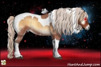 Horse Color:Silver Buckskin Roan Onyx Tobiano 