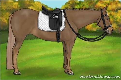 Horse Color:Chocolate Palomino 