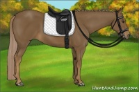 Horse Color:Chocolate Palomino 