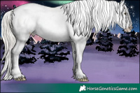 Horse Color:Silver Buckskin Roan Dun Appaloosa  and Silver Grullo Appaloosa 
