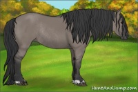 Horse Color:Grullo Rabicano 