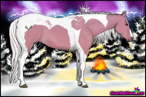 Horse Color:Silver Bay Dun Tobiano 