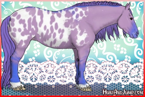 Horse Color:Watercolor Smoky Grullo Appaloosa
