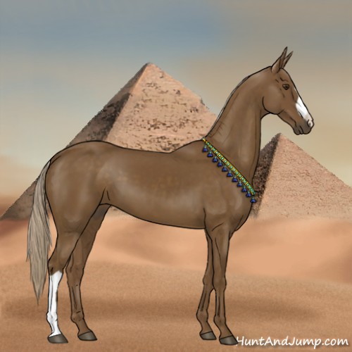 Horse Color:Chocolate Palomino 