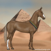 Horse Color:Chocolate Palomino