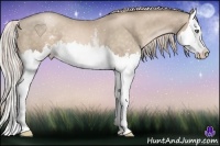 Horse Color:White Spotted Chocolate Palomino Pearl Splash 