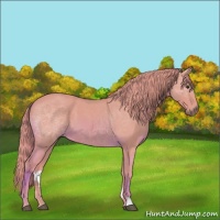 Horse Color:Watercolor Red Roan