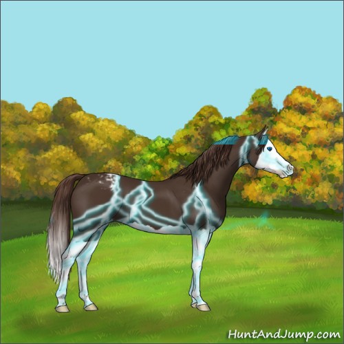 Horse Color:Thunderstruck Liver Chestnut Splash Varnish