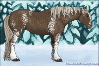 Horse Color:White Spotted Chocolate Palomino