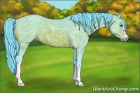 Horse Color:Watercolor Brown Ice 
