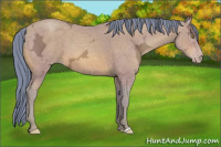 Horse Color:Gray Watercolor Amber Champagne Ice 