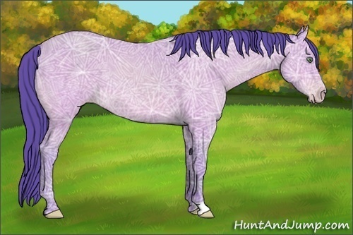 Horse Color:Watercolor Amber Cream Champagne Ice 