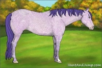 Horse Color:Watercolor Amber Cream Champagne Ice 