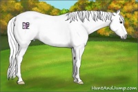 Horse Color:Gray Silver Bay Sabino Rabicano