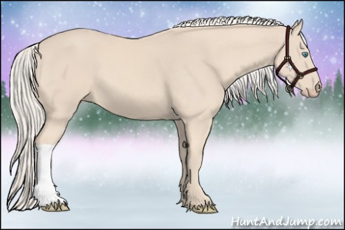 Horse Color:Cremello 