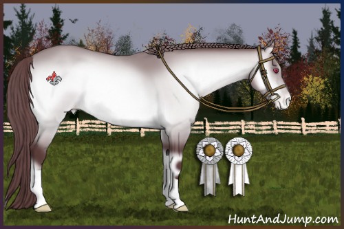 Horse Color:Chocolate Bay Chinchilla Onyx Varnish