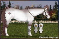 Horse Color:Chocolate Bay Chinchilla Onyx Varnish 
