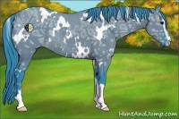 Horse Color:Watercolor White Spotted Grullo Ice Sabino Rabicano
