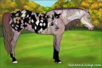 Horse Color:Void Platinum Nacre Chocolate Amber Champagne Ice Dun Sabino Tobiano Appaloosa  and Void Platinum Nacre Chocolate Bay Ice Sabino Tobiano Appaloosa 